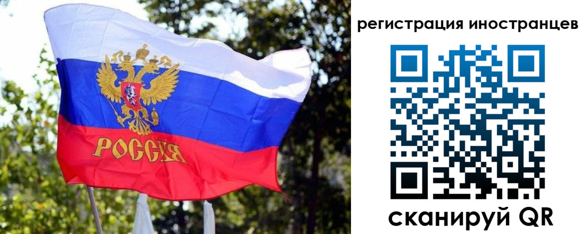 временная регистрация недорого в Покрове